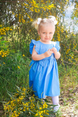 girl draws in nature.  Little girl in a blue dress