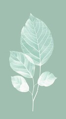 plant leaves silhouette background.