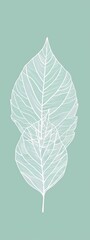 botanical leaf outline and silhouette print modern mint and white --ar 3:8 Job ID: ebd6cc6f-2ebd-4e51-899a-e565ff488b05