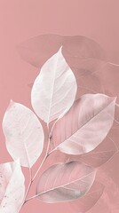 botanical print leaf outline and silhouette modern pink and white --ar 9:16 Job ID: 82ddba4d-4753-491e-b8c5-f6f584414ed3