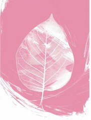 botanical print leaf outline and silhouette modern pink and white --ar 3:4 Job ID: cc35d678-1c44-458e-810f-bb55dabb2edc
