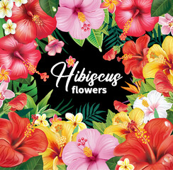 Frame from hibiscus flowers - 773471199