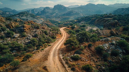 Fototapeta na wymiar Winding Desert Road Perspectiv, road adventure, path to discovery, holliday trip, Aerial view