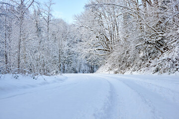 Tire tracks and the Unplowed Road
