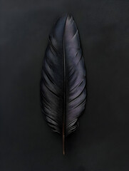A black feather is shown on a black background. The feather is large and has a dark color. Concept of mystery and elegance, as the feather's dark color