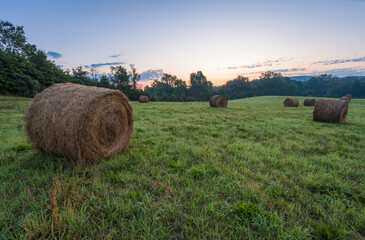 Freshly rolled hay bales rest in a farm field on a late summer morning 