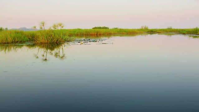 The chobe river view from a small dedicated photography boat. Covering from Kasane to Serondela. A low angle and different perspective