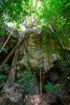 View of the entrance to the Khlong Chak Bat Cave on a steep and stunning cliff in a lush jungle in Koh Lanta, Thailand.