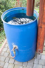 Plastic rainwater barrel in a garden