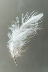 A delicate white feather gently floating in the air. Perfect for adding a touch of elegance to any design project