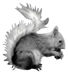 Fotobehang squirrel eats nut isolated retro halftone grunge dotted texture cutout vintage collage element for mixed media design © Oleksandr Yashchuk