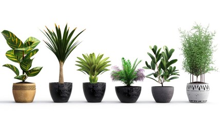 A row of potted plants on a clean white surface. Suitable for home decor or gardening concepts
