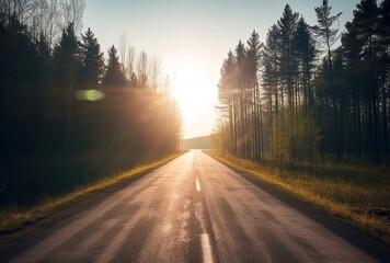 Fototapeta premium Road in forest