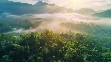 An aerial top view captures the lush forest canopy, representing the rainforest ecosystem and the concept of a healthy environment. The texture of green tree tops is visible from above,  - obrazy, fototapety, plakaty