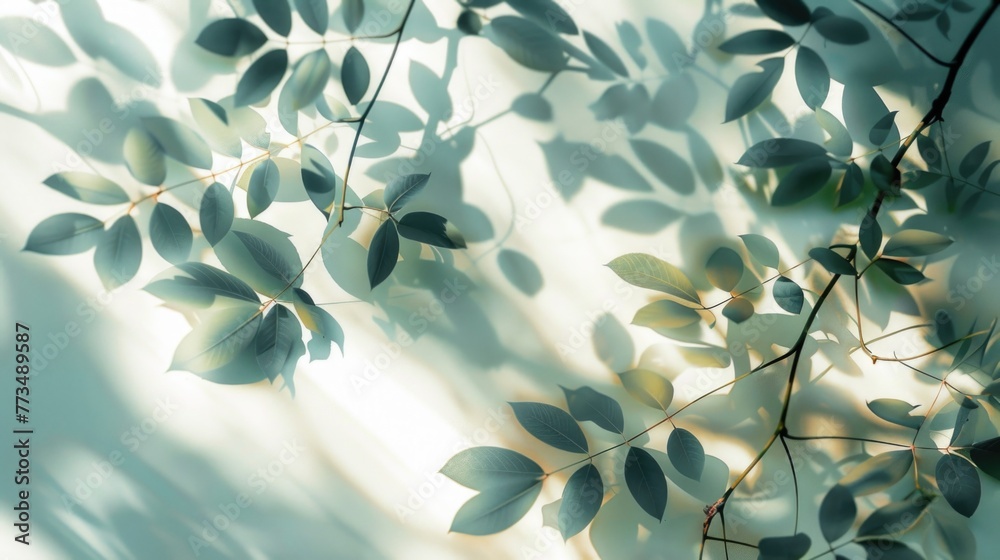 Poster detailed view of leaves on a tree, suitable for nature concepts