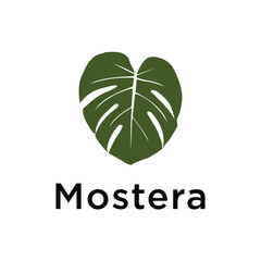 Monstera, tropical leaf logo design
