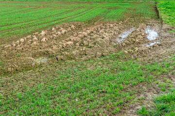 Feuchtes Ackerland nach vielem Regen