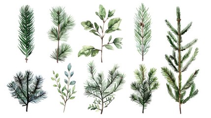 Festive watercolor illustration of Christmas trees and branches. Perfect for holiday designs - obrazy, fototapety, plakaty