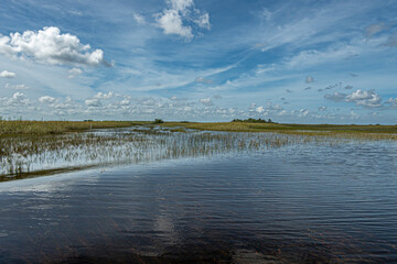 Everglades, Florida, USA - July 29, 2023: Wide black river landscape separated from blue cloudscape by green-yellow belt of reed. Some trees on. horizon, 
