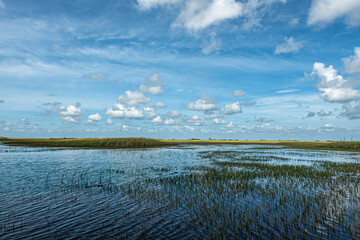 Everglades, Florida, USA - July 29, 2023: blue panorama of swamp with tiny green-yellow belt separating water from cloudscape