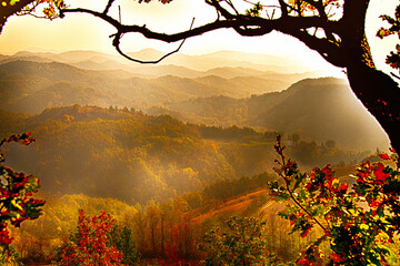Tortona hills, colors of the panorama, Sarezzano, Tortona, Alessandria, Piedmont, Italy