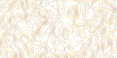 Naklejka premium Topographic map and landscape terrain texture grid. Abstract lines background. Contour maps. Vector illustration. golden and white topographic contours lines of mountains. 