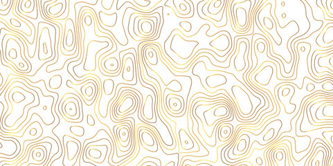 Topographic map and landscape terrain texture grid. Abstract lines background. Contour maps. Vector illustration. golden and white topographic contours lines of mountains.	