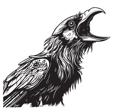 Head of raven. Crow abstract character illustration. Graphic logo designs template for emblem. Image of portrait for company use or tattoo