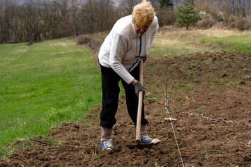 Woman creates a furrow in the field with a hoe, using a rope to ensure its straight, embodying the concept of preparing the field for vegetable planting on a spring day in nature