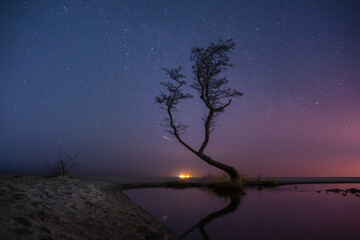 Lonely tree in the lake at night with starry sky