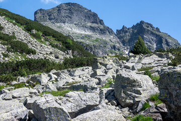 Summer landscape of Rila Mountain near Malyovitsa peak, Bulgaria