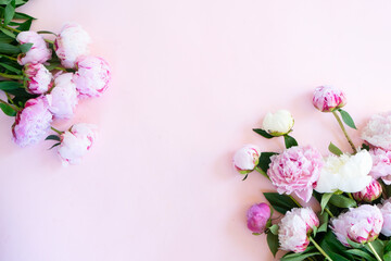 Beautiful fresh pink peony flowers and buds on pink table, top view and flat lay background