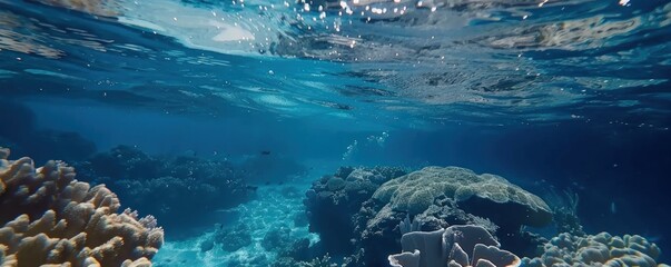 underwater view with clear blue sea water and beautiful coral reefs