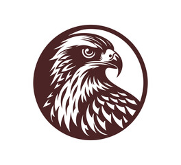 Red-tailed hawk hand drawn vector illustration - obrazy, fototapety, plakaty