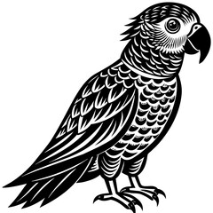 parrot silhouette vector art illustration