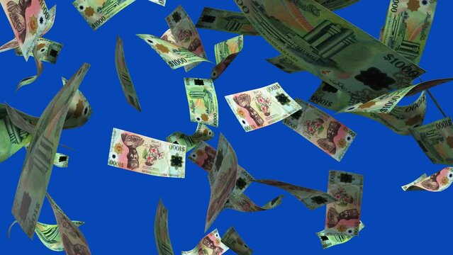 3D animation of Brunei Dollar notes Falling On blue screen. You can remove the background by keying or subtracting with the black and white matte to replace with a custom one	