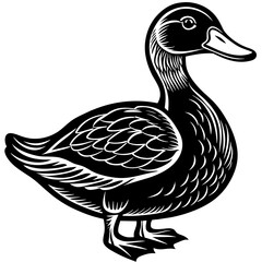 duck silhouette vector art illustration