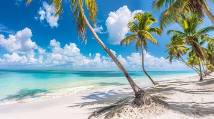 Coconut Palm trees line the white sandy beach of the Caribbean sea on Saona Island, Dominican Republic - obrazy, fototapety, plakaty