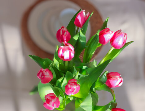 pink tulips on table