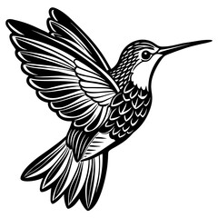 hummingbird silhouette vector art illustration