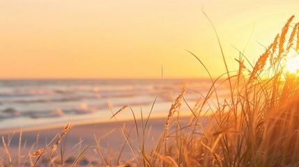 Tranquil Beach Sunset with Golden Hour Seascape and Coastal Grass