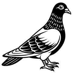 pigeon silhouette vector art illustration