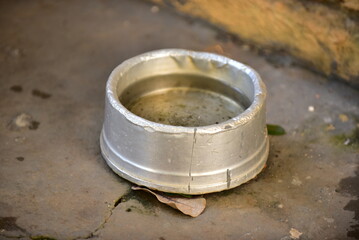 plastic bowl abandoned in a vase with stagnant water inside. close up view. mosquitoes in potential breeding ground proliferation of aedes aegypti mosquitoes, dengue, chikungunya, zika virus