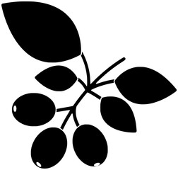 olive illustration plant silhouette leaf logo branch icon fruit outline tree food green oil natural nature organic leaves greek shape mediterranean botanical floral for vector graphic background