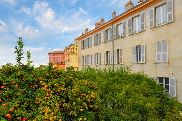 Fototapeta na wymiar Orange trees full of fruit alongside the traditional colorful buildings of Menton, France, along the Cote d'Azur French Riviera.
