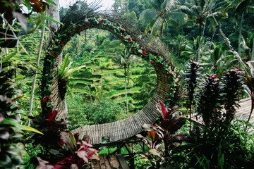 Love seat in the Tegallalang Rice Fields near Ubud, Bali, Indonesia.