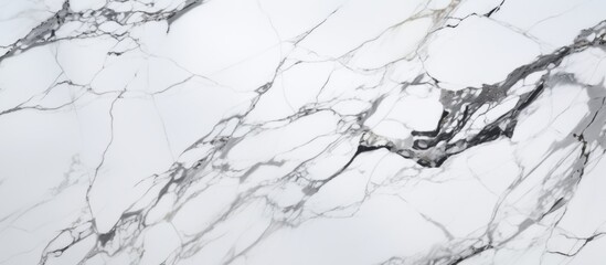 This stunning piece of marble features a classic combination of white and black tones with a detailed pattern, ideal for interior design projects
