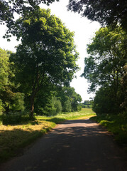 Fototapeta na wymiar English countryside, with road