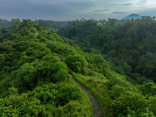 Fototapeta na wymiar Campuhan Ridge Walk in Ubud, Bali, Indonesia.