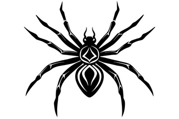 spider silhouette vector illustration